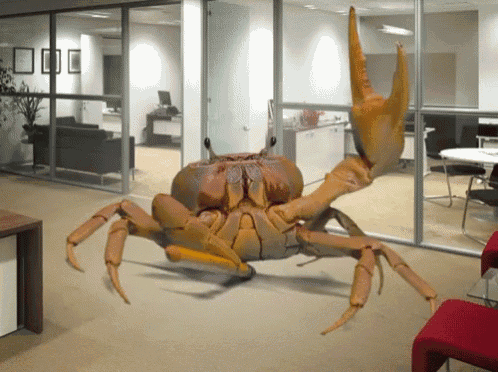 a crab is crawling on the floor in a room