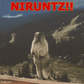 a picture of a ground squirrel with the words niruntz wen blaze written above it