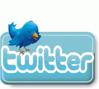 Twitter Tweet GIF - Twitter Tweet GIFs