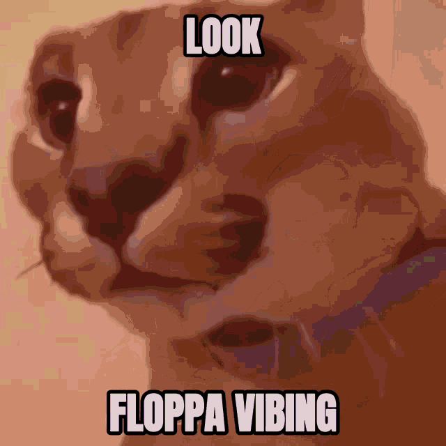 Big Floppa Vibing GIF - Big Floppa Vibing Floppa Vibing GIFs