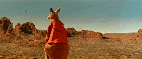 a kangaroo wearing a red hoodie is standing in the desert