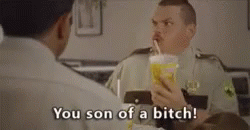 Supertroopers GIF - Supertroopers GIFs