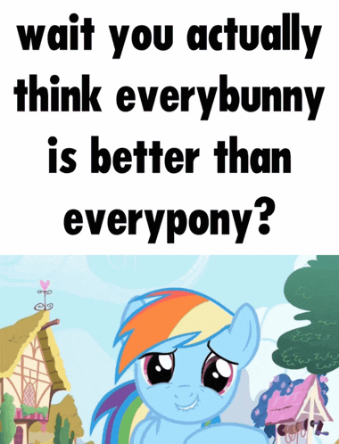 a picture of a rainbow dash with the words " wait you actually think every bunny is better than everypony "