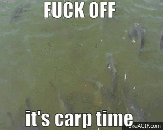 Carp Fishing GIF - Carp Fishing Fuck Off GIFs