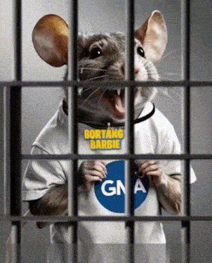 a mouse is wearing a shirt that says bortang barbie