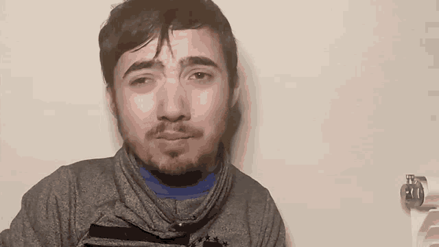 a man with a beard is wearing a gray shirt and a blue sweater .