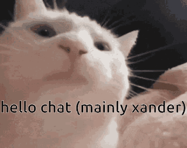 Hello Chat Xander GIF - Hello Chat Xander Hello Xander GIFs