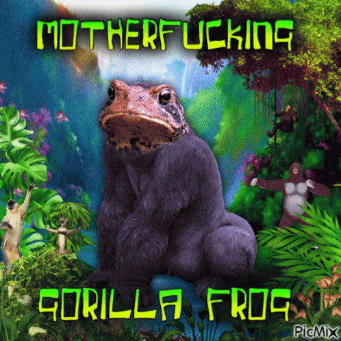 Motherfucking Gorilla GIF - Motherfucking Gorilla Frog GIFs