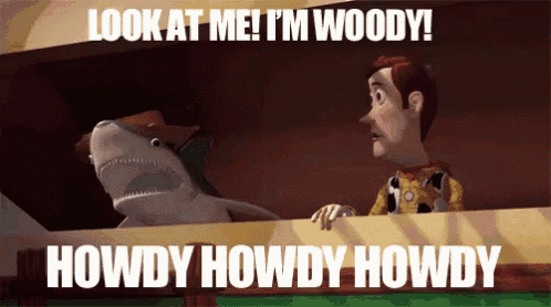 I'M Woody GIF