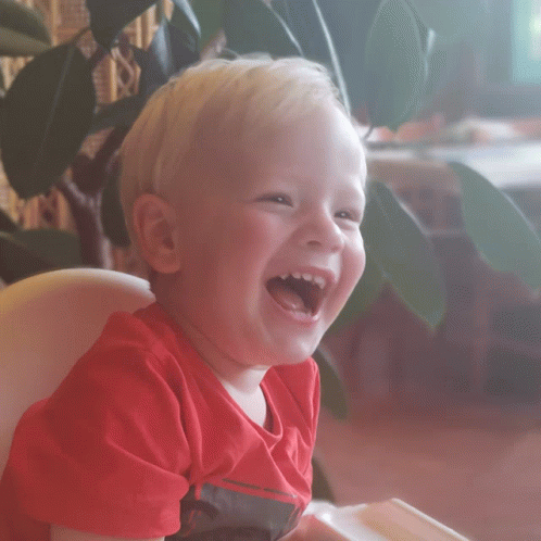 Vilém Laughing GIF - Vilém Laughing GIFs