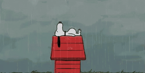 snoopy is laying in a red house in the rain .