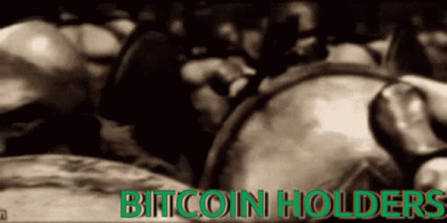 Btc Bitcoin GIF - Btc Bitcoin Hodl GIFs