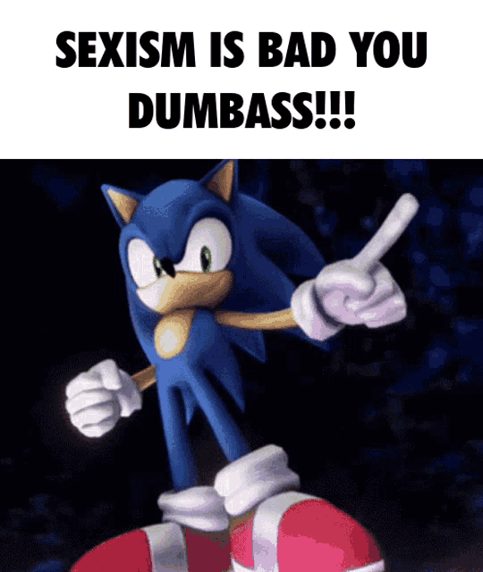 a picture of sonic the hedgehog with the caption sexism is bad you dumbass !!!