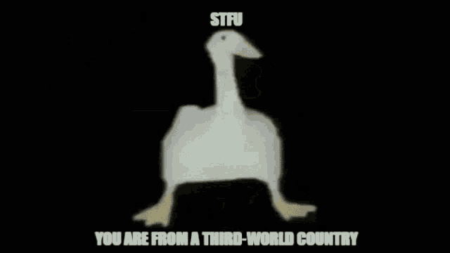 a white goose is walking in the dark with a caption that says `` you are from a third world country '' .