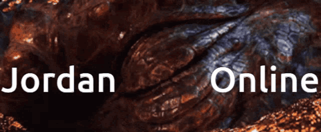 a close up of a dragon 's eye with the words jordan online written below it