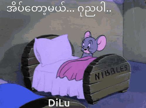 a cartoon mouse is laying in a bed with the word nibbles on the side