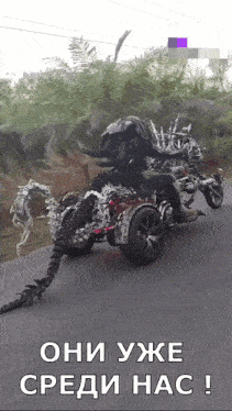 a person is riding a motorcycle that looks like an elephant