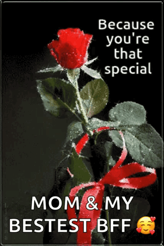 You Are Special Rose GIF - You Are Special Rose GIFs