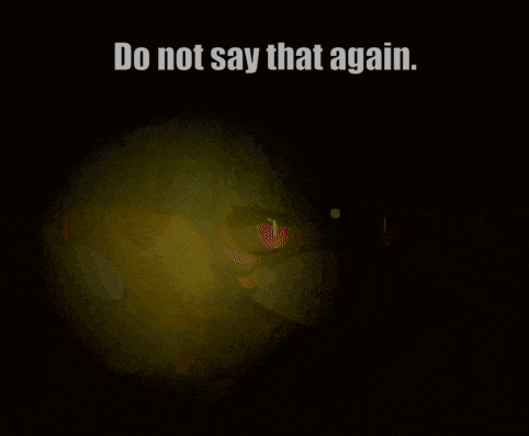 a poster that says " do not say that again "