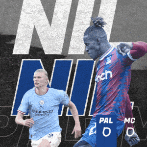 a soccer player in a blue and purple jersey with the number 20 on the back