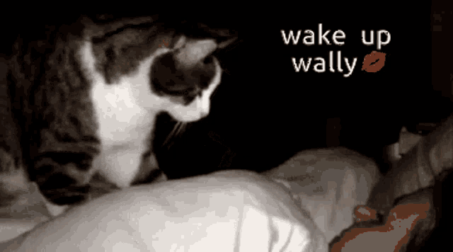 Wake Up Wally GIF - Wake Up Wally GIFs
