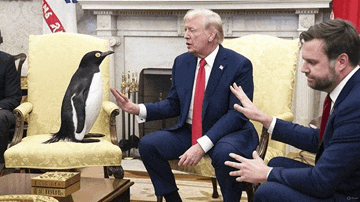 a penguin sits on a chair next to a man in a suit and tie