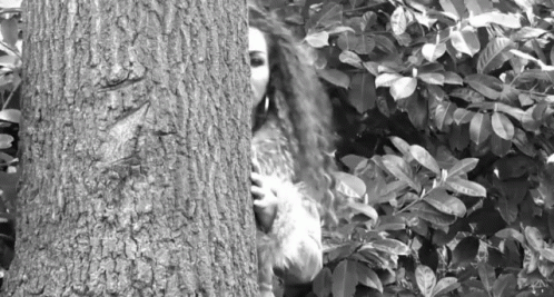 Tree Creep GIF - Tree Creep Peek GIFs
