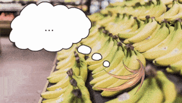 Banana Banana Debut GIF - Banana Banana Debut Shu Yamino GIFs