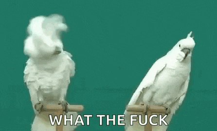 two white birds are standing next to each other on a perch and talking .