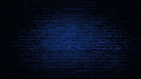 a neon sign that says " singers " hangs on a brick wall