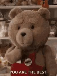 a teddy bear wearing a red apron is standing in front of a shelf and says `` you are the best '' .