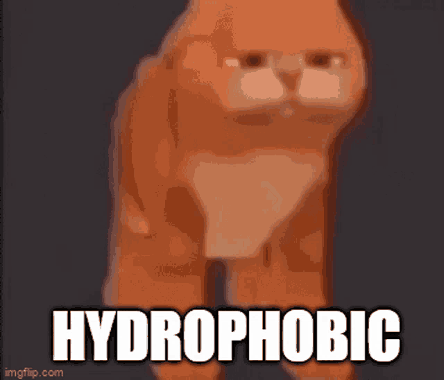 Hydrophobic GIF - Hydrophobic GIFs