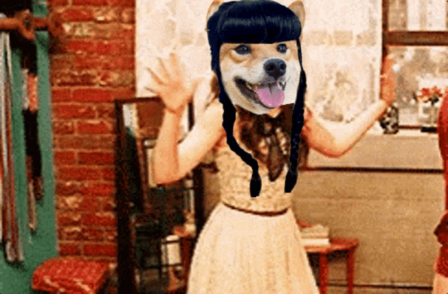 a woman in a white dress has a dog head on her head