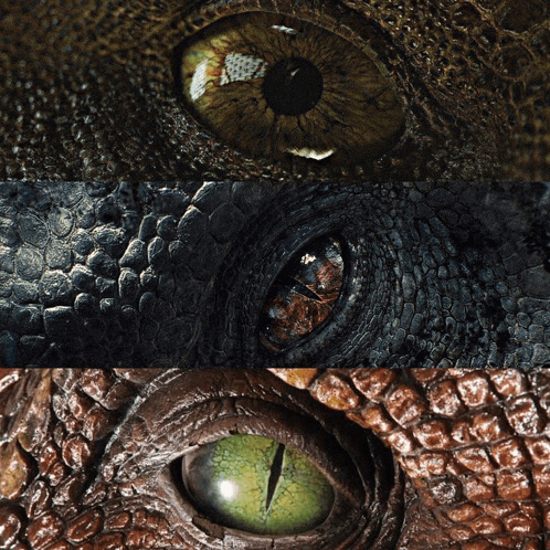 a close up of a crocodile 's eye with a green eye and a brown eye