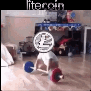 Litecoin Ltc GIF - Litecoin Ltc Crypto GIFs