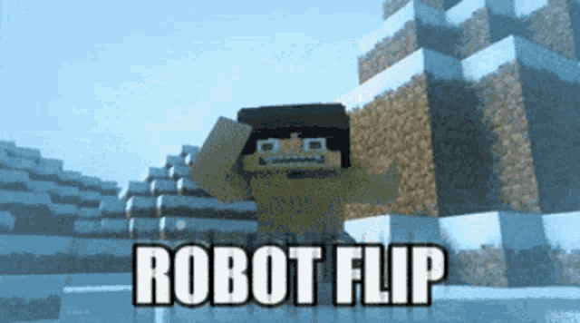 Minecraft Tecnorobot GIF - Minecraft Tecnorobot Robotflip GIFs
