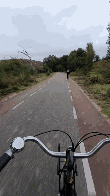 a person riding a bike down a road with trees on both sides