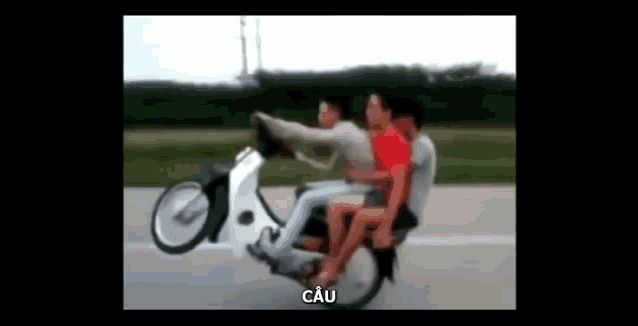 a group of people are riding on the back of a motorcycle on a road .