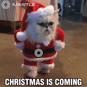 a cat dressed in a santa claus outfit with the words christmas is coming below it