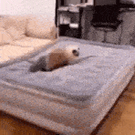 a cat is laying on a mattress in a living room next to a couch .