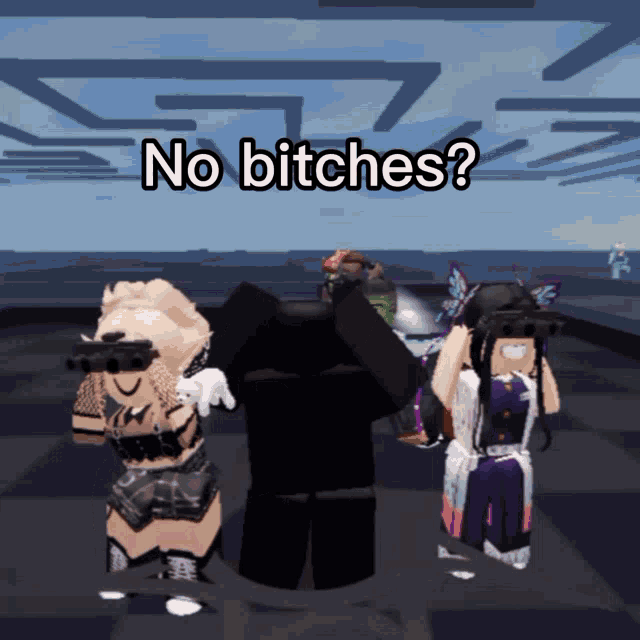a group of people in a video game with the words " no bitches "