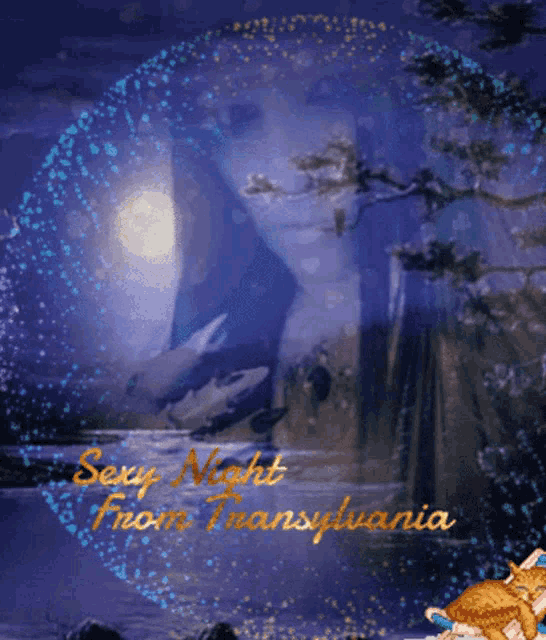 a sexy night from transylvania greeting card with a dolphin