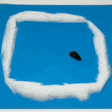 a black worm is crawling through a circle of white powder on a blue surface