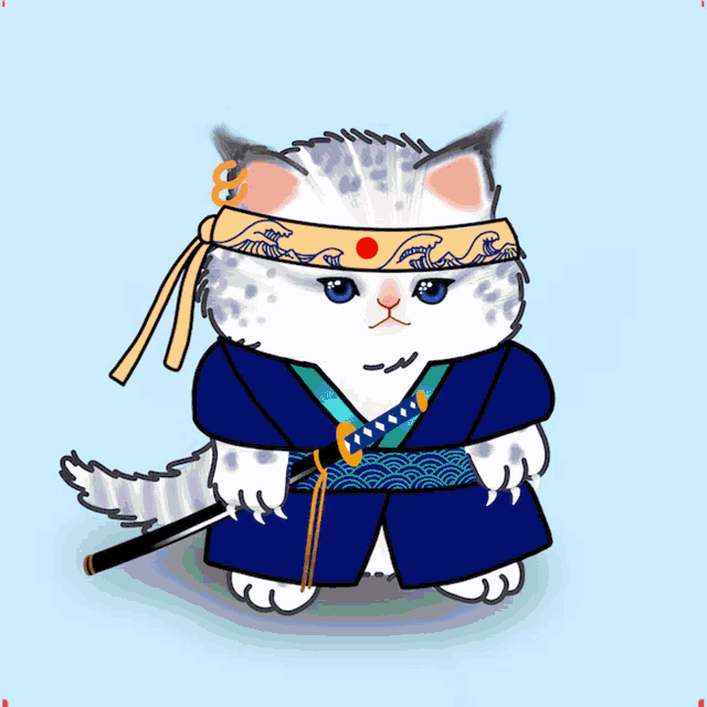 a cartoon cat wearing a rainbow headband and a green jacket with 456 on it