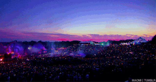 a crowd of people at a concert with the words macm tumblr visible
