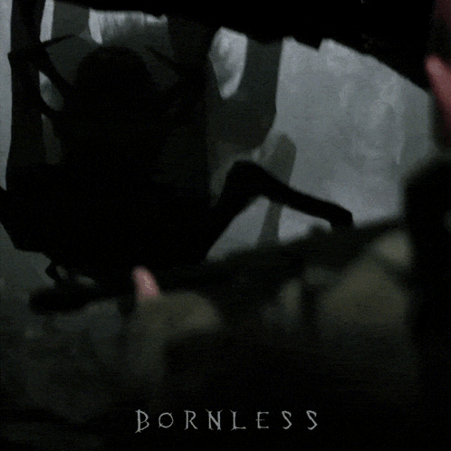 a poster for bornless shows a giant spider in the dark