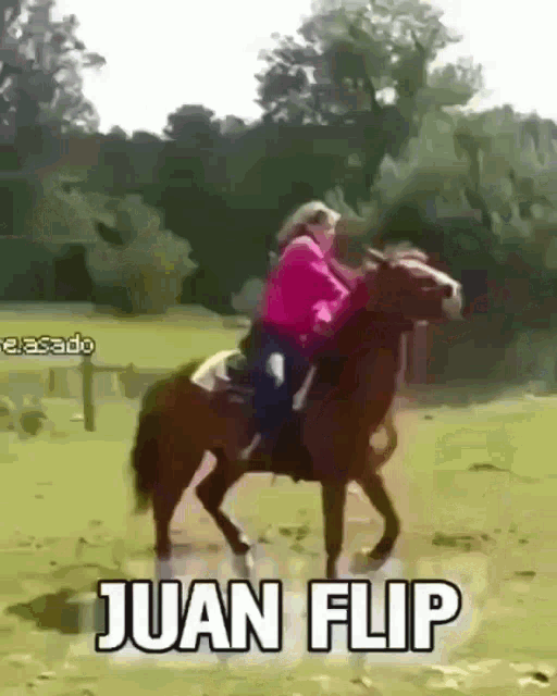 Juan Flip GIF - Juan Flip GIFs