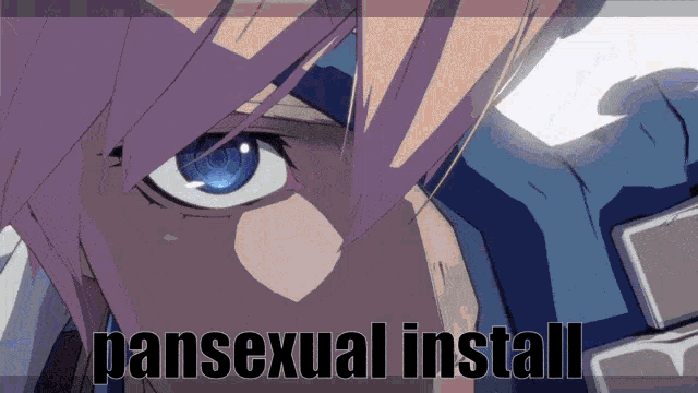 a close up of a person 's face with the words pansexual install written below it