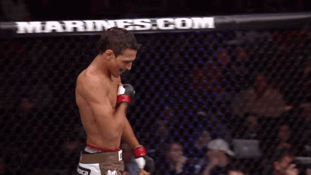 a man in boxing gloves stands in front of a fence that says prime