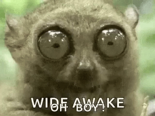 Wide Awake Cant Sleep GIF - Wide Awake Cant Sleep Awake GIFs
